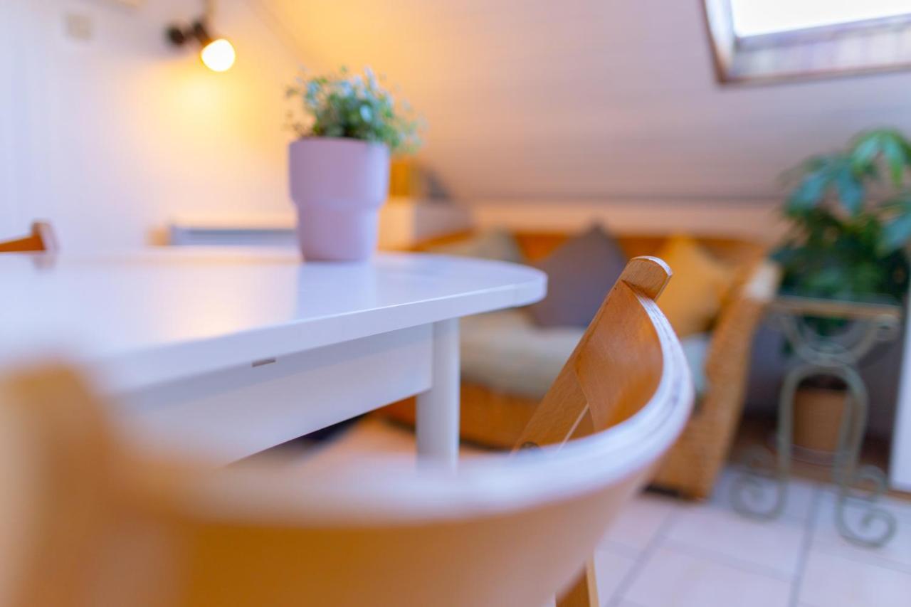 Studio Cocon Sous Les Toits De Jaures Belfort Exterior photo