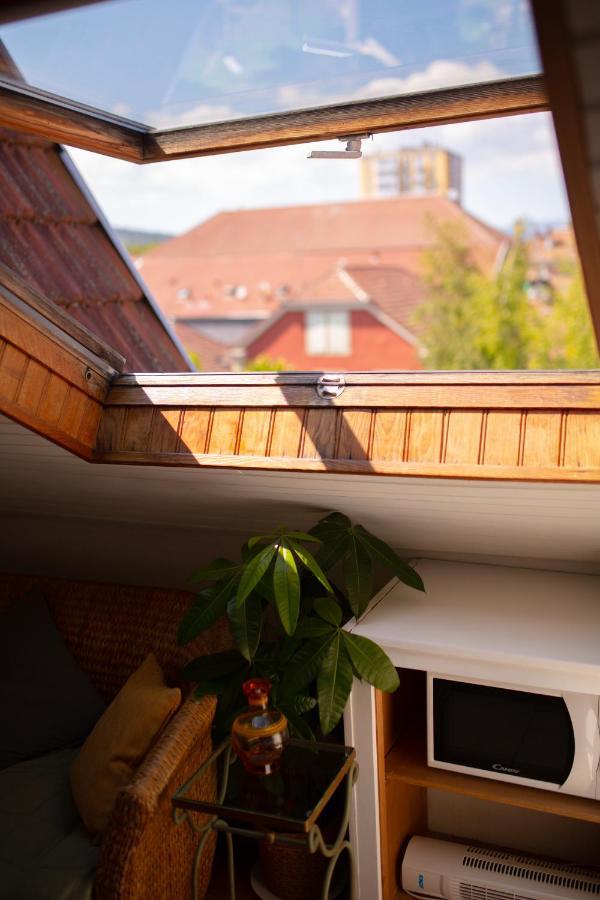 Studio Cocon Sous Les Toits De Jaures Belfort Exterior photo