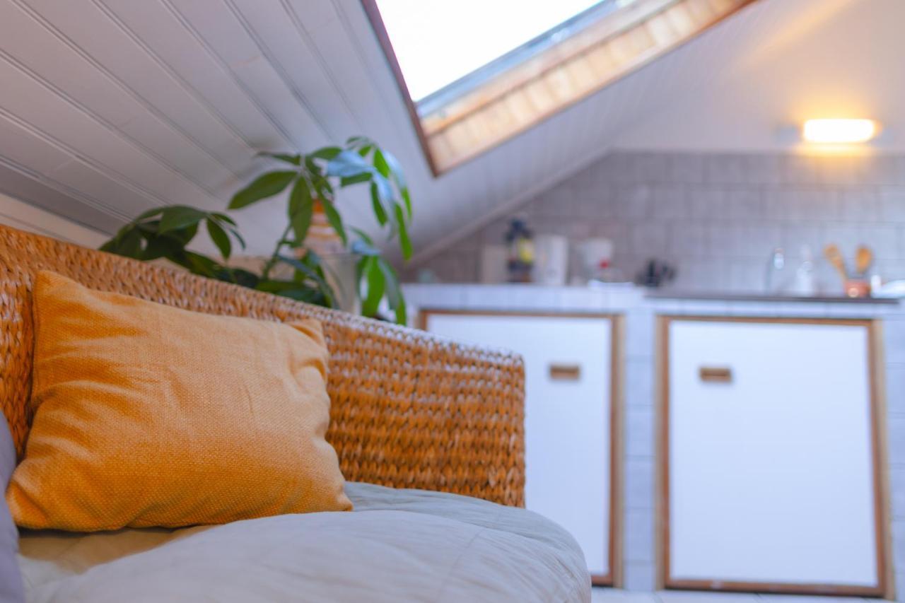 Studio Cocon Sous Les Toits De Jaures Belfort Exterior photo